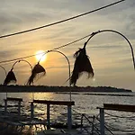 Sole House * بيشيلي